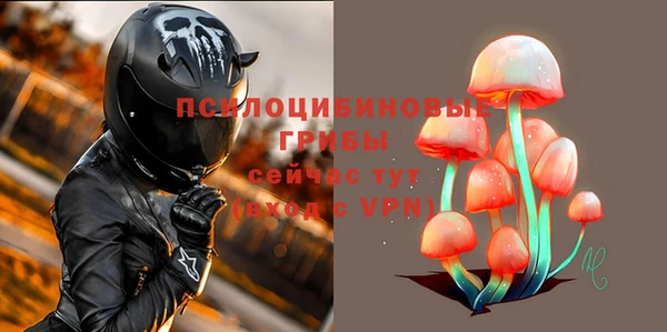спиды Алзамай
