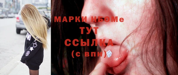 хмурый Алексин