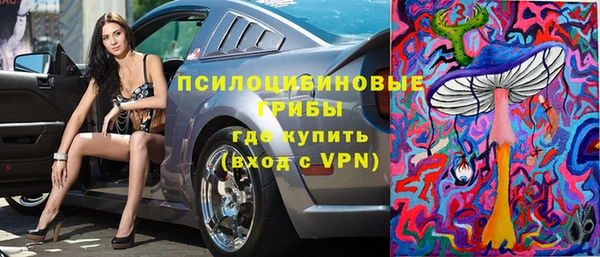 хмурый Алексин