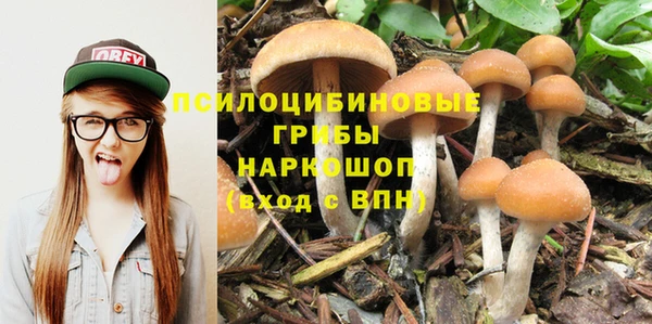 не бодяженный Абдулино