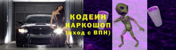 хмурый Алексин