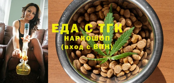 хмурый Алексин
