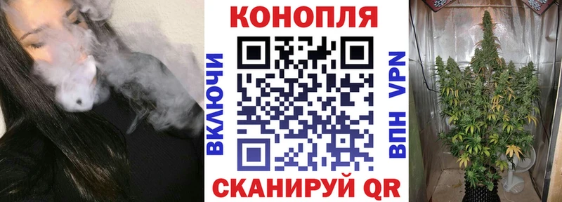 Конопля Ganja Опочка